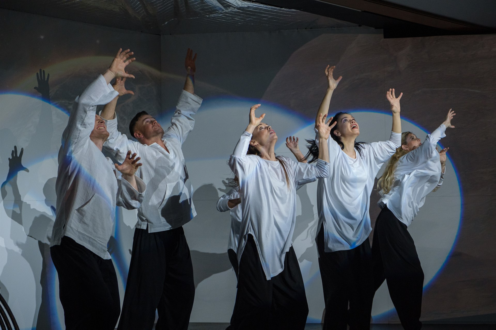 Kleine Tiertragödien – Foto 71